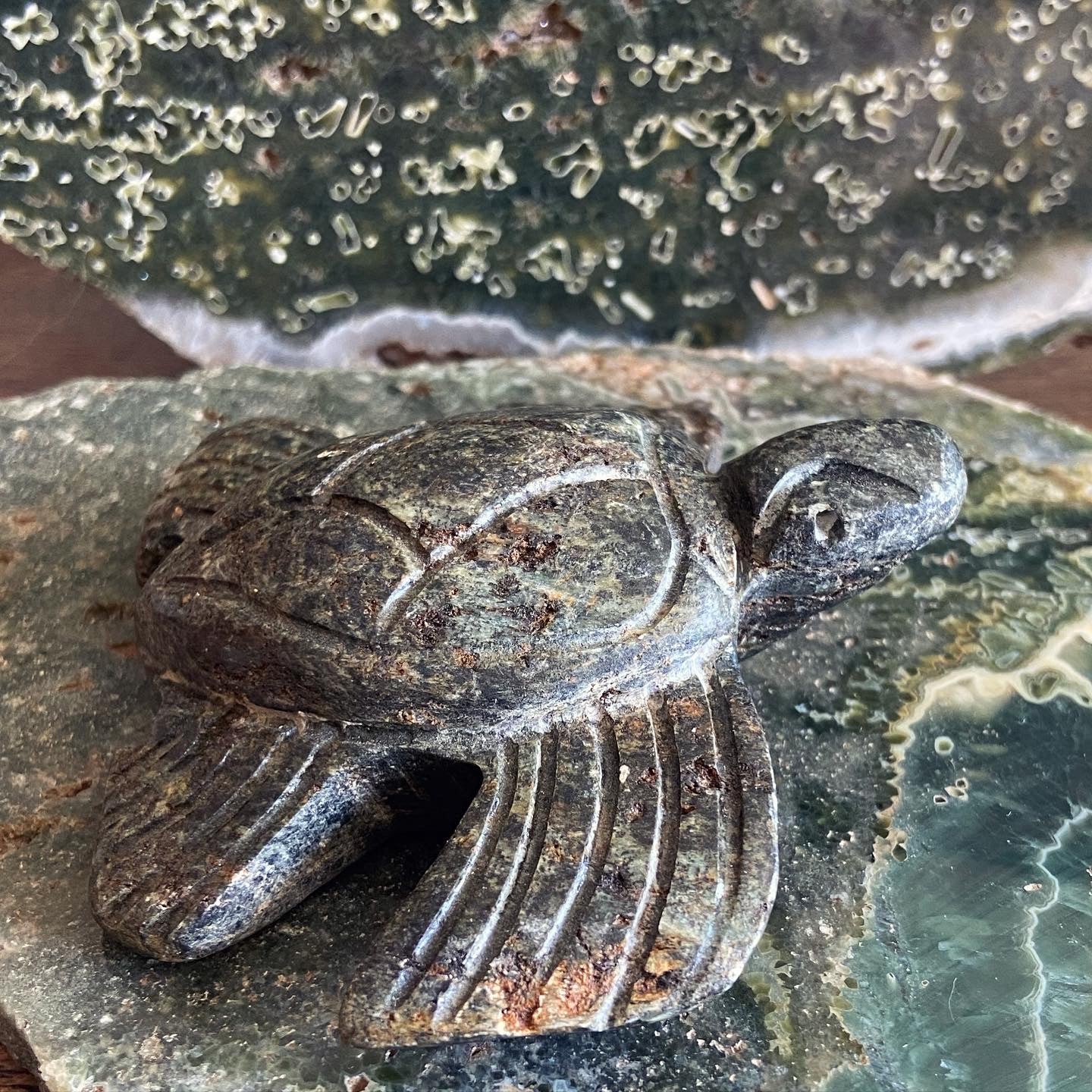 Z Serpentine Sea Turtle Sculpture
