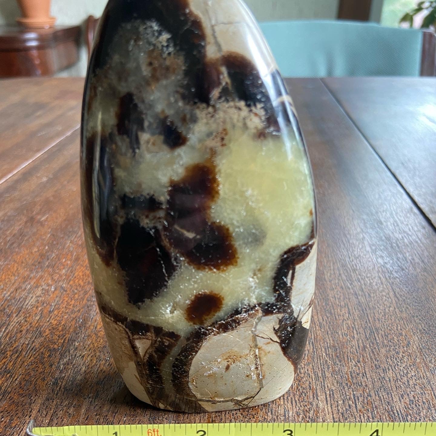 Septarian Freeform 2