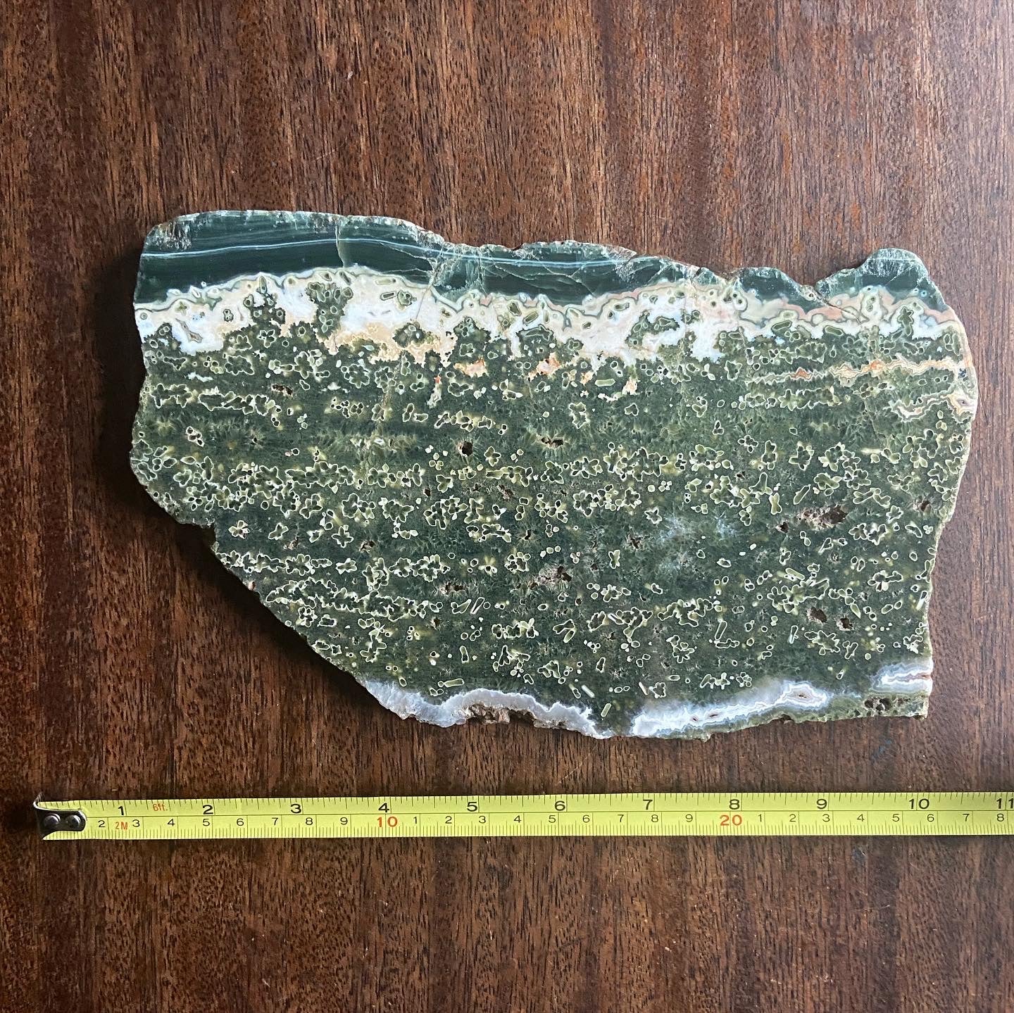 Ocean Jasper