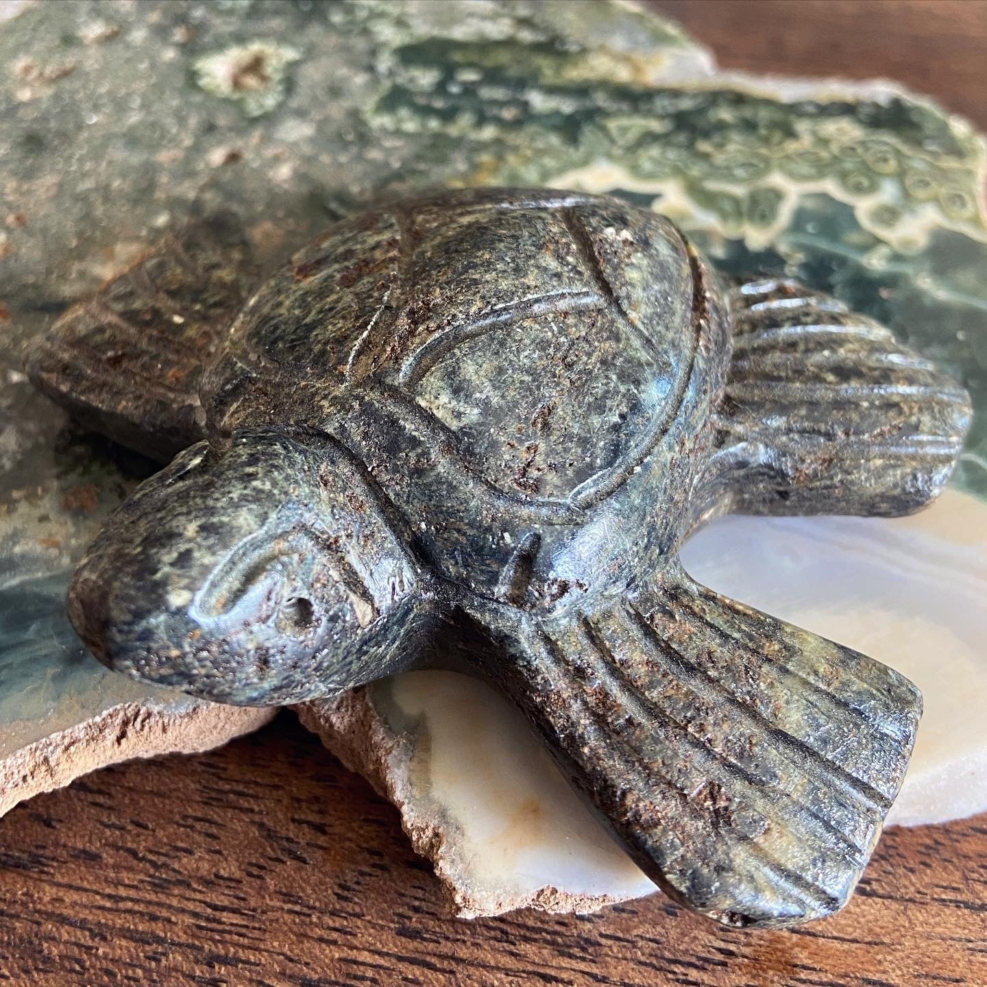 Z Serpentine Sea Turtle Sculpture