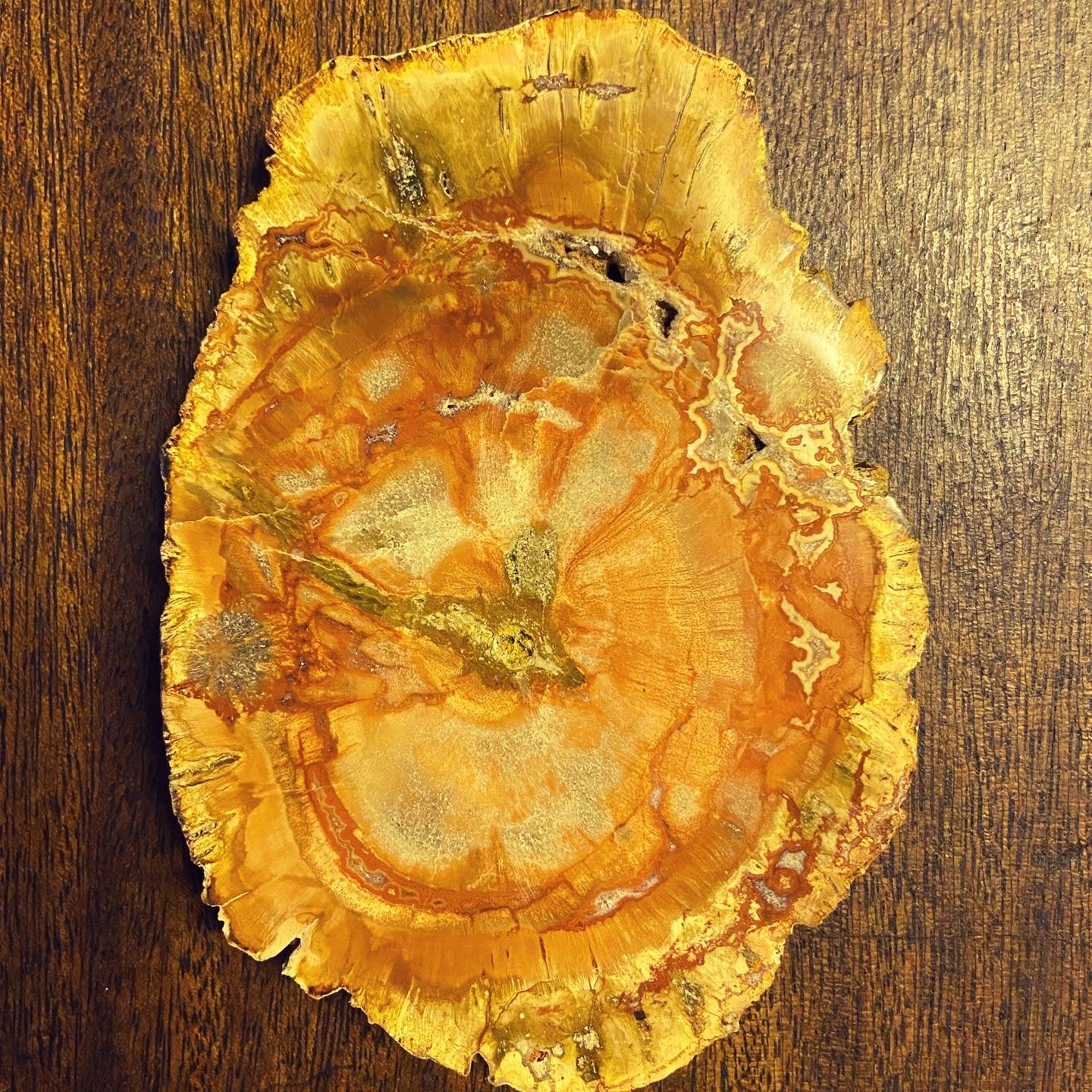 Z Petrified Wood