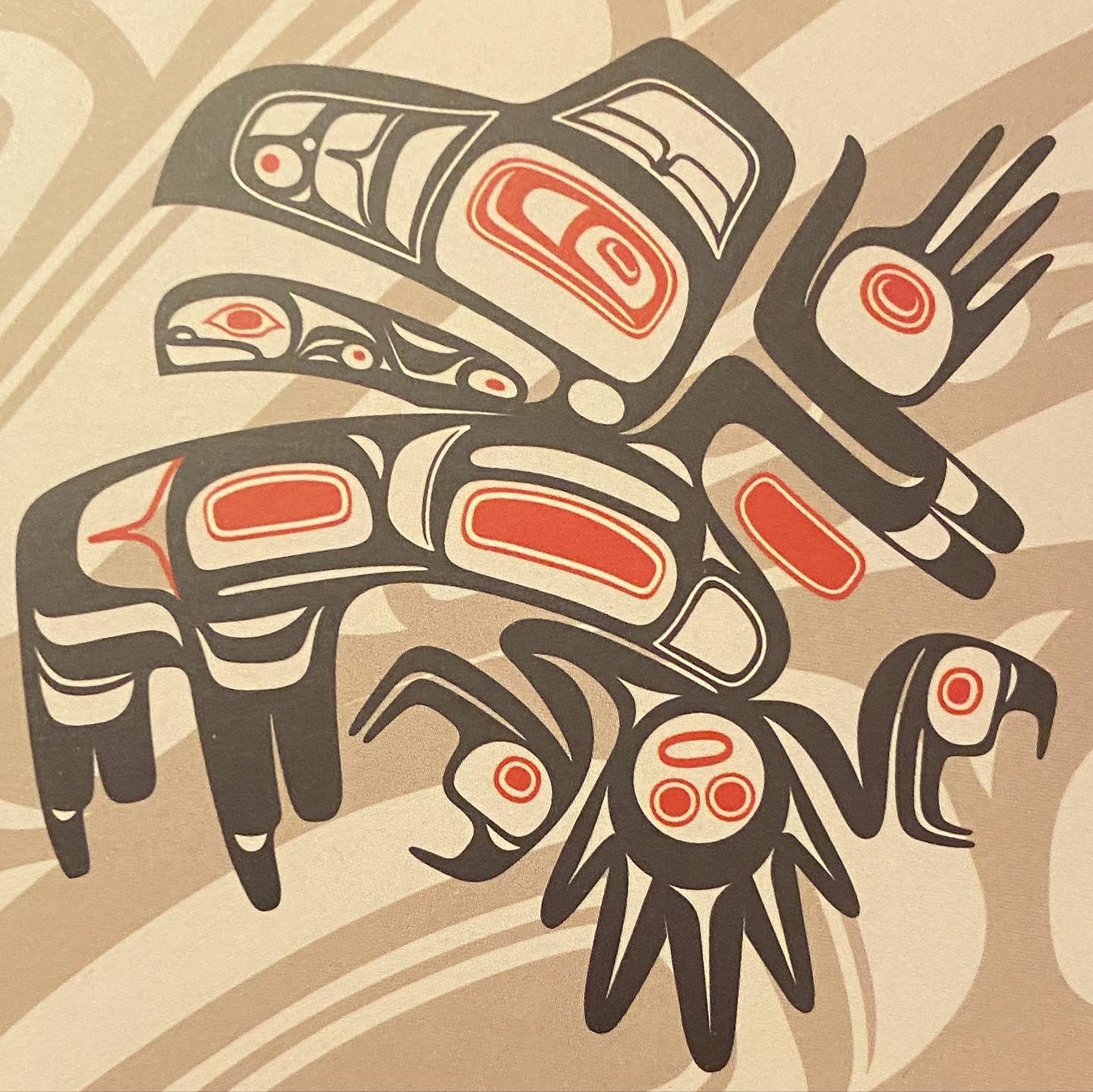 Coasters: Haida Indigenous Artwork