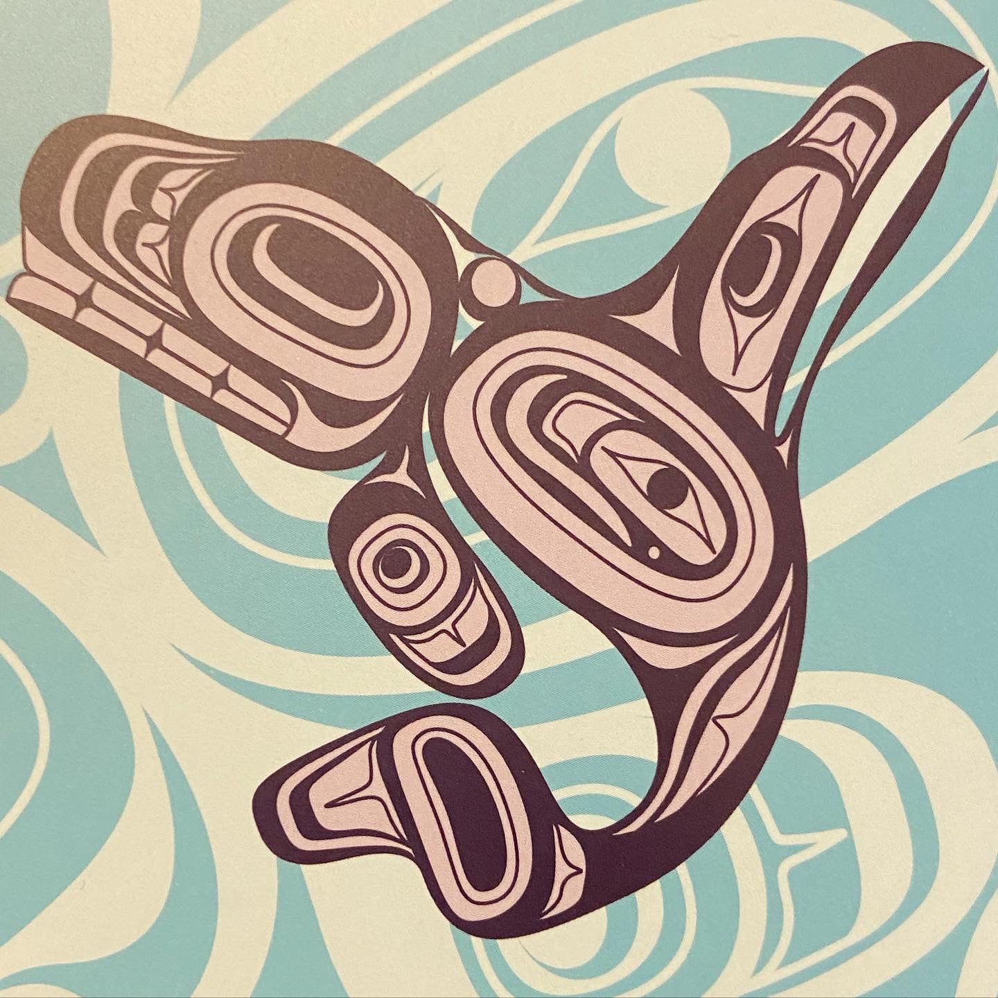 Coasters: Haida Indigenous Artwork