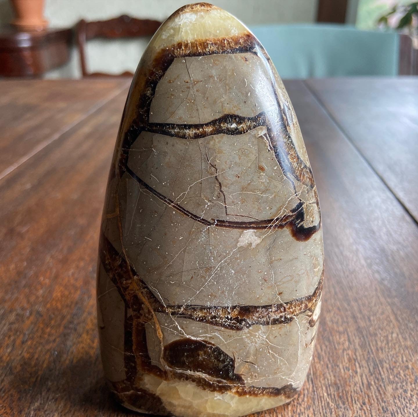 Septarian Freeform 1