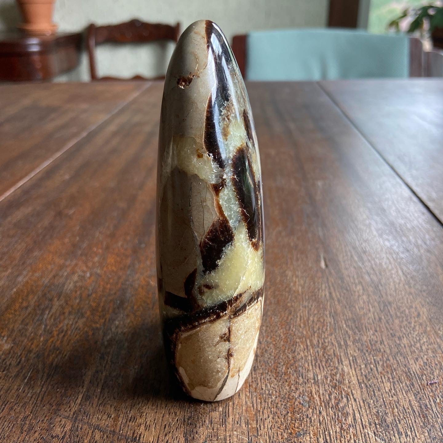 Septarian Freeform 2