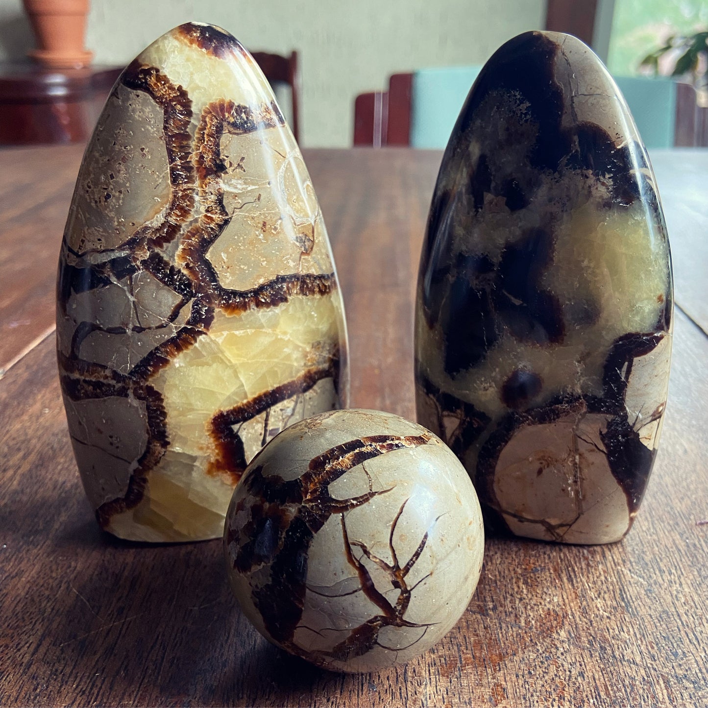 Septarian