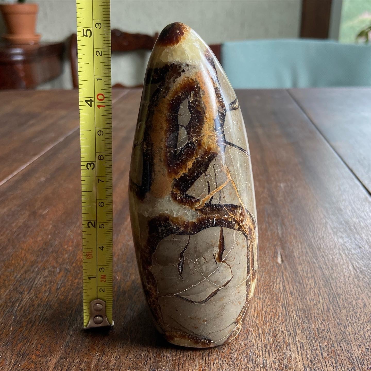 Septarian Freeform 1 