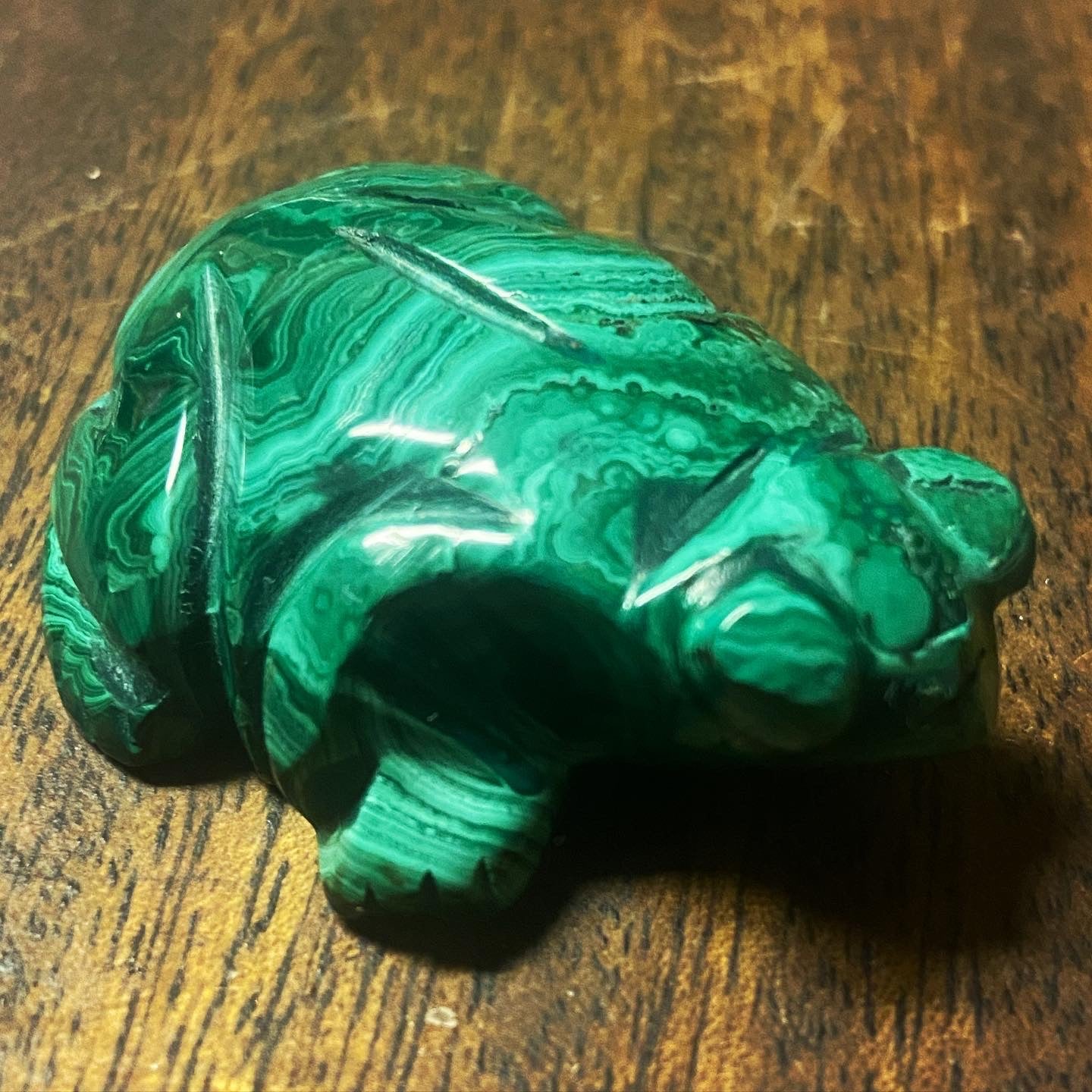 Malachite Freeforms & Tumblers