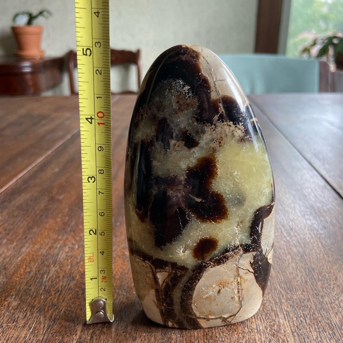 Septarian Freeform 2