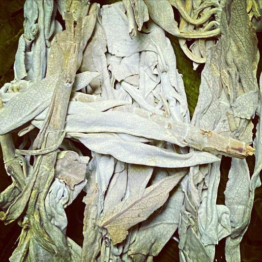 Sage (Loose)