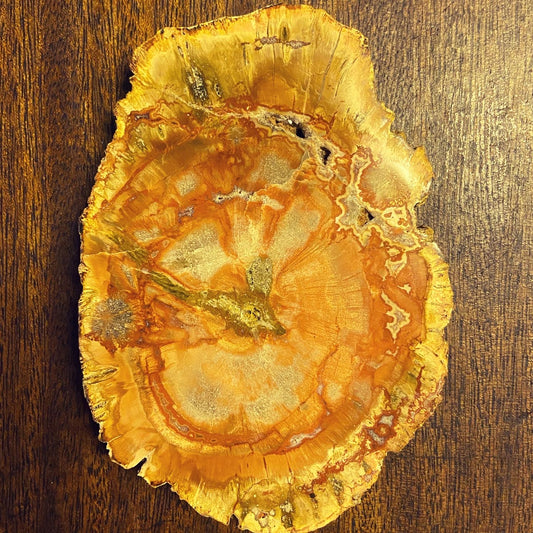 Z Petrified Wood