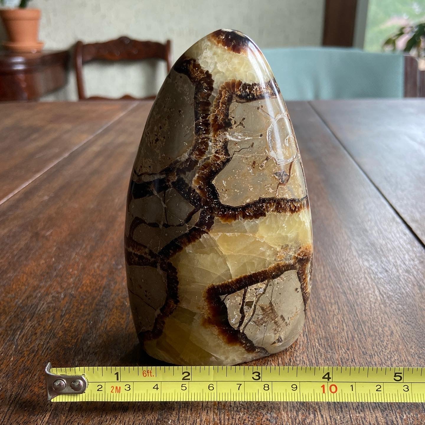 Septarian Freeform 1